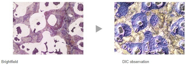 GX53 Inverted Metallographic Microscope from Evident