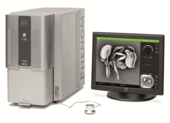 scan electron microscope