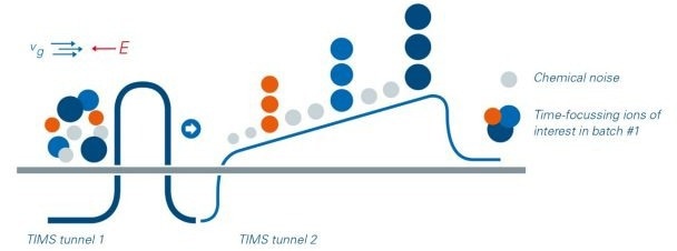 Discover timsTOF Pro 2 Powered by Parallel Accumulation Serial Fragmentation (PASEF®)