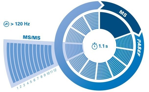 Discover timsTOF Pro 2 Powered by Parallel Accumulation Serial Fragmentation (PASEF®)