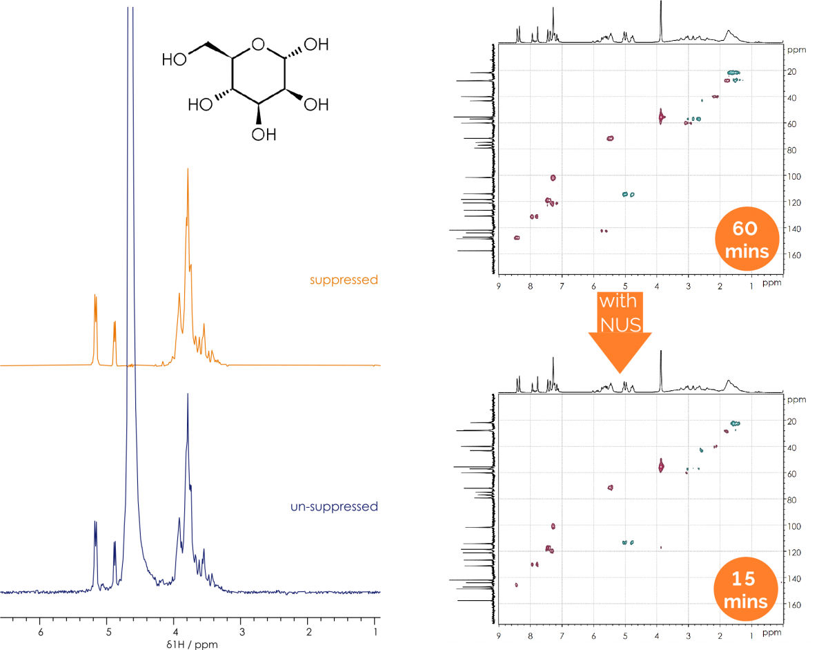 Broadband Multinuclear Benchtop NMR Spectrometer - X-Pulse