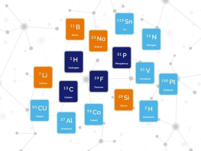 nuclei