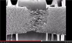 Tensile test of leather