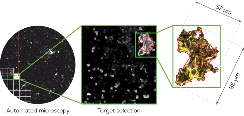 Hound: A Particle Characterization Platform in One Instrument