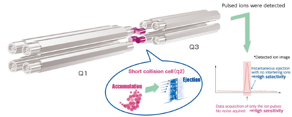 Triple-Quad Mass Spectrometer: JMS-TQ4000GC