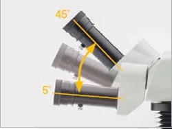 Research Stereomicroscope System SZX10