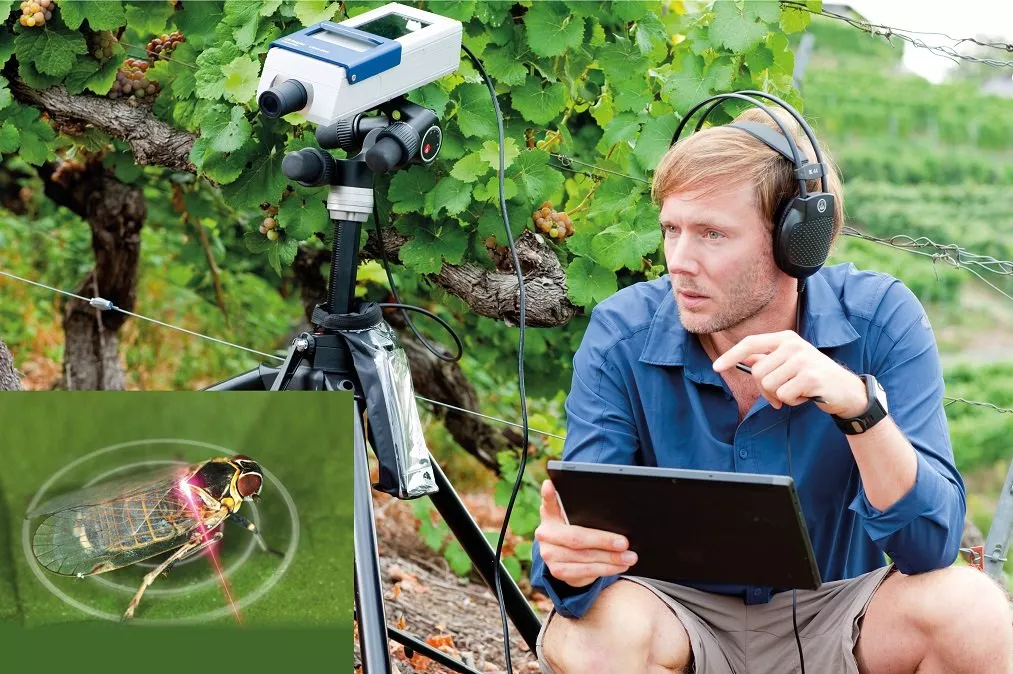 Field measurements like entomology for pest control with VibroGo.