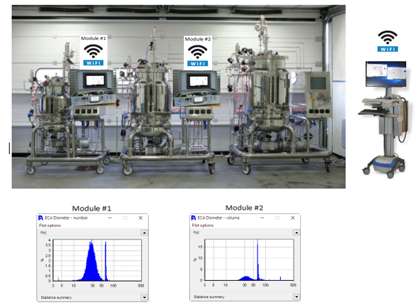 Portable On-Line Shape Analyzer System: Pi PMS