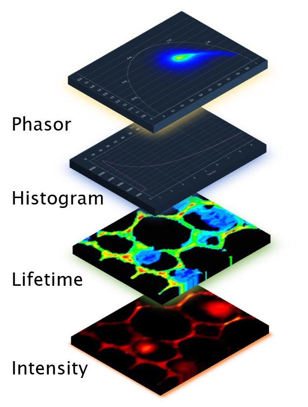 Four simultaneous datasets are presented.