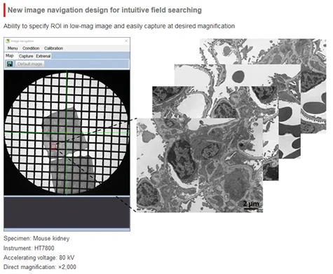The HT7800: A 120 kV Transmission Electron Microscope