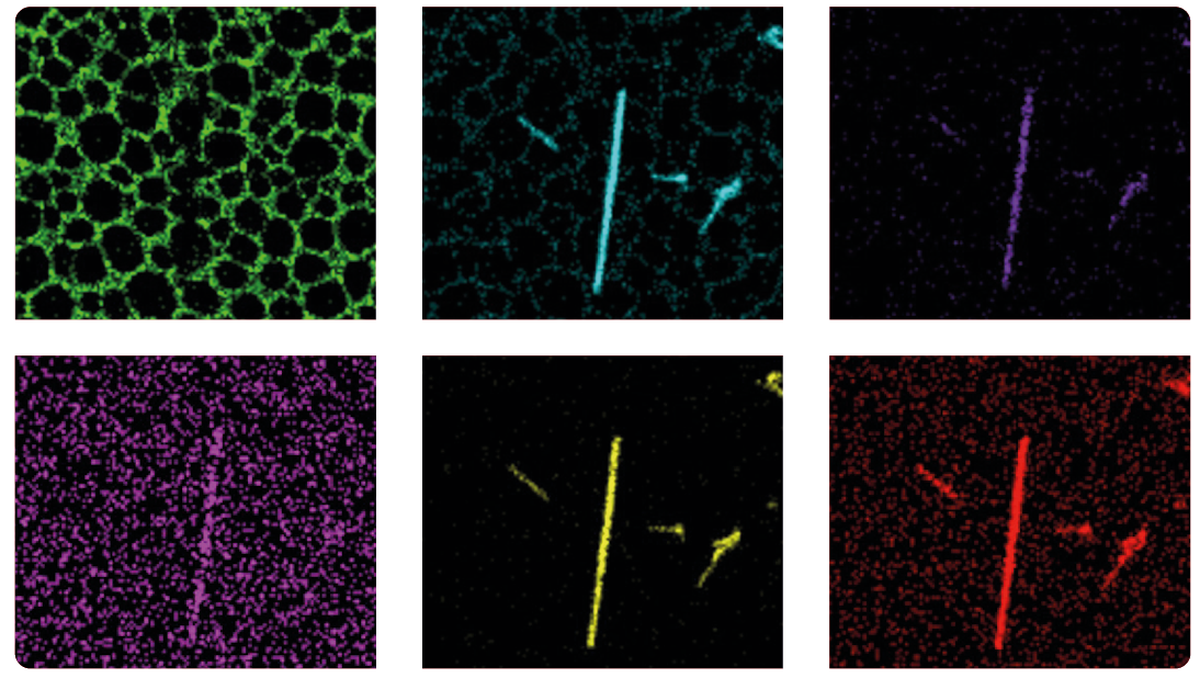 The HT7800: A 120 kV Transmission Electron Microscope