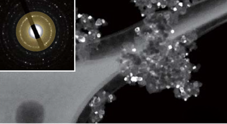 Au/TiO2 catalyst. Hollow-cone dark-field TEM image, accelerating voltage 120 kV