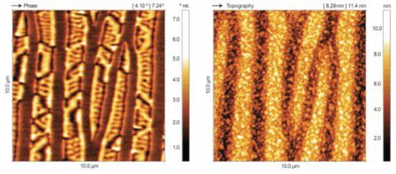 Magnetic force microscopy on MnAS thin film sample. Domains with different magnetic orientations are visualized in the phase image. Image acquired with DME DS 95 Compact granite SPM system.