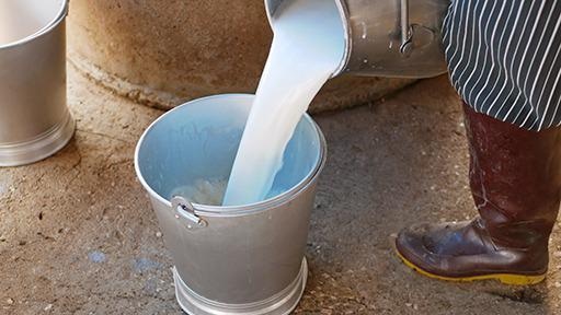 Fourier-Transform Infrared Spectroscopy (FT-IR) Milk Analyzer