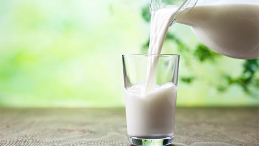 Fourier-Transform Infrared Spectroscopy (FT-IR) Milk Analyzer