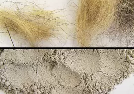 Hair