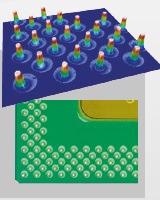 The S Wide is a Metrology Tool for Wide Areas