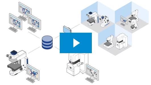 ZEN Data Storage enables centralized management of microscope presets, workflows, data, and reports—from different systems and locations. Separate microscopy imaging from post-acquisition processing to allow everyone in the lab to work more efficiently.