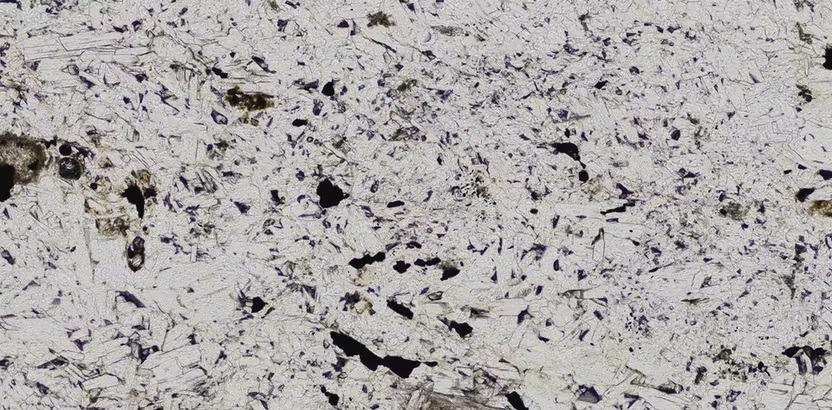 Plane Polarized Light (PPL).