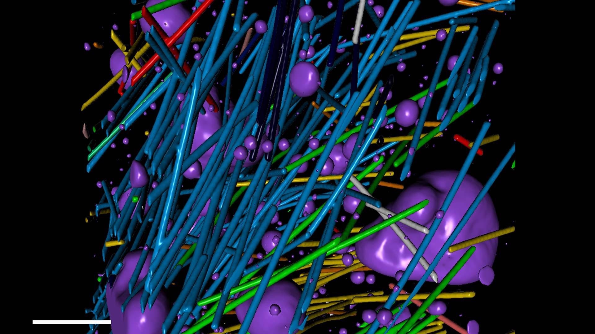 Quantitative volumetric analysis of a steel reinforced concrete specimen. Voids are rendered in purple.