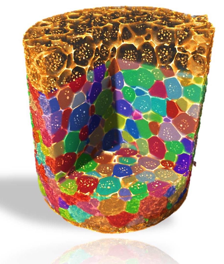 3D grain map of aluminum-copper alloy imaged in absorption and diffraction contrast tomography.