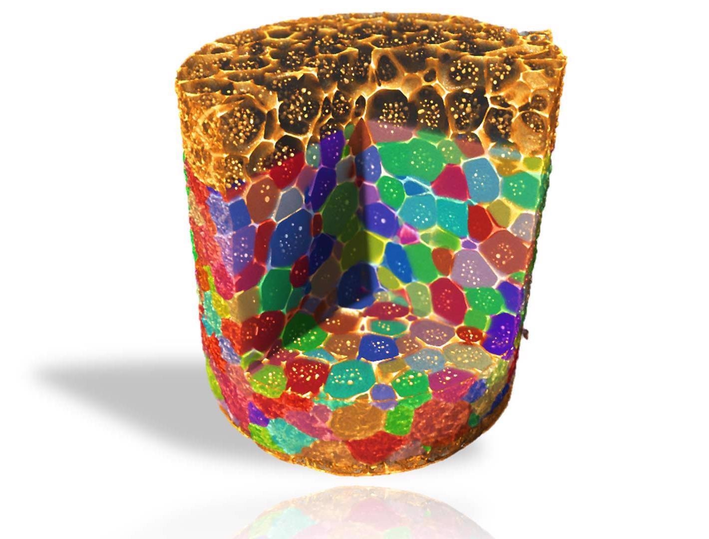 3D grain map of aluminum copper alloy imaged in absorption and diffraction contrast tomography.