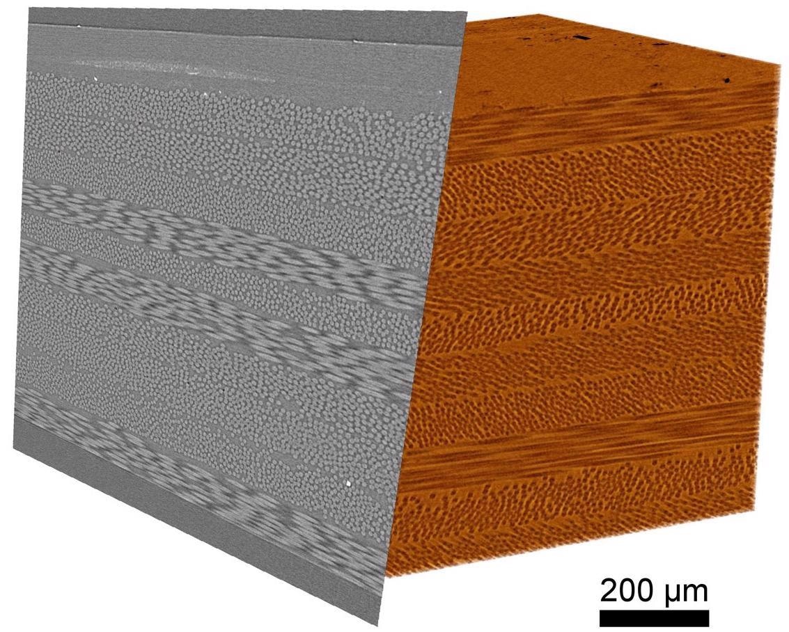 3D rendering and clipping plane of a composite sample with carbon and glass fibers.