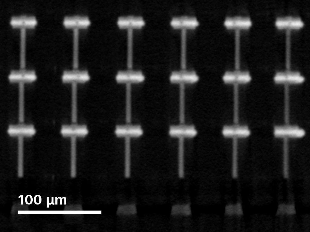 Virtual cross section of micro bumps in a DRAM package. TSVs are 6 μm in diameter and micro bumps average 35 µm in diameter. Small solder voids of 2 μm are visible.