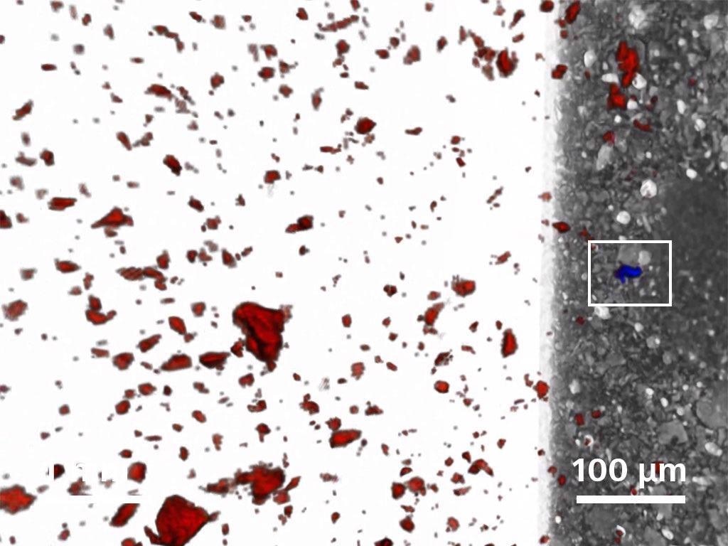 Individual gold grain identified from population of ~26,000 pyrite grains.