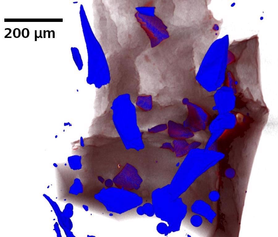 Traditional absorption contrast image of disaggregated olivine.