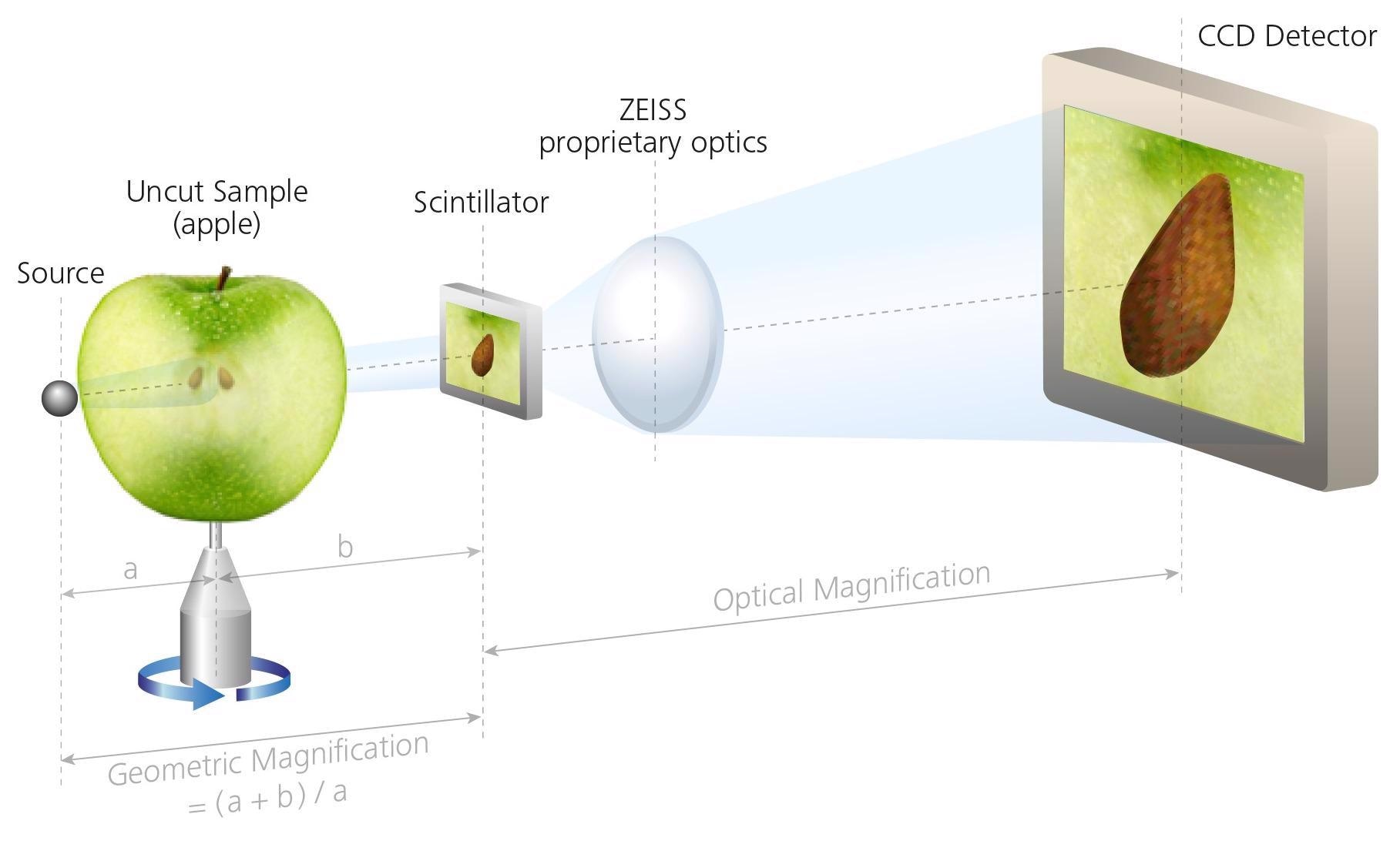 Sample imaged independently of distance to the source, enabling interiors of larger samples to be imaged non-destructively at higher resolution.