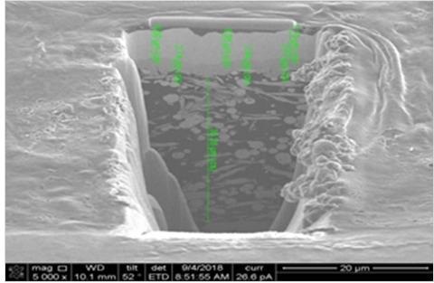 Focused ion beam system