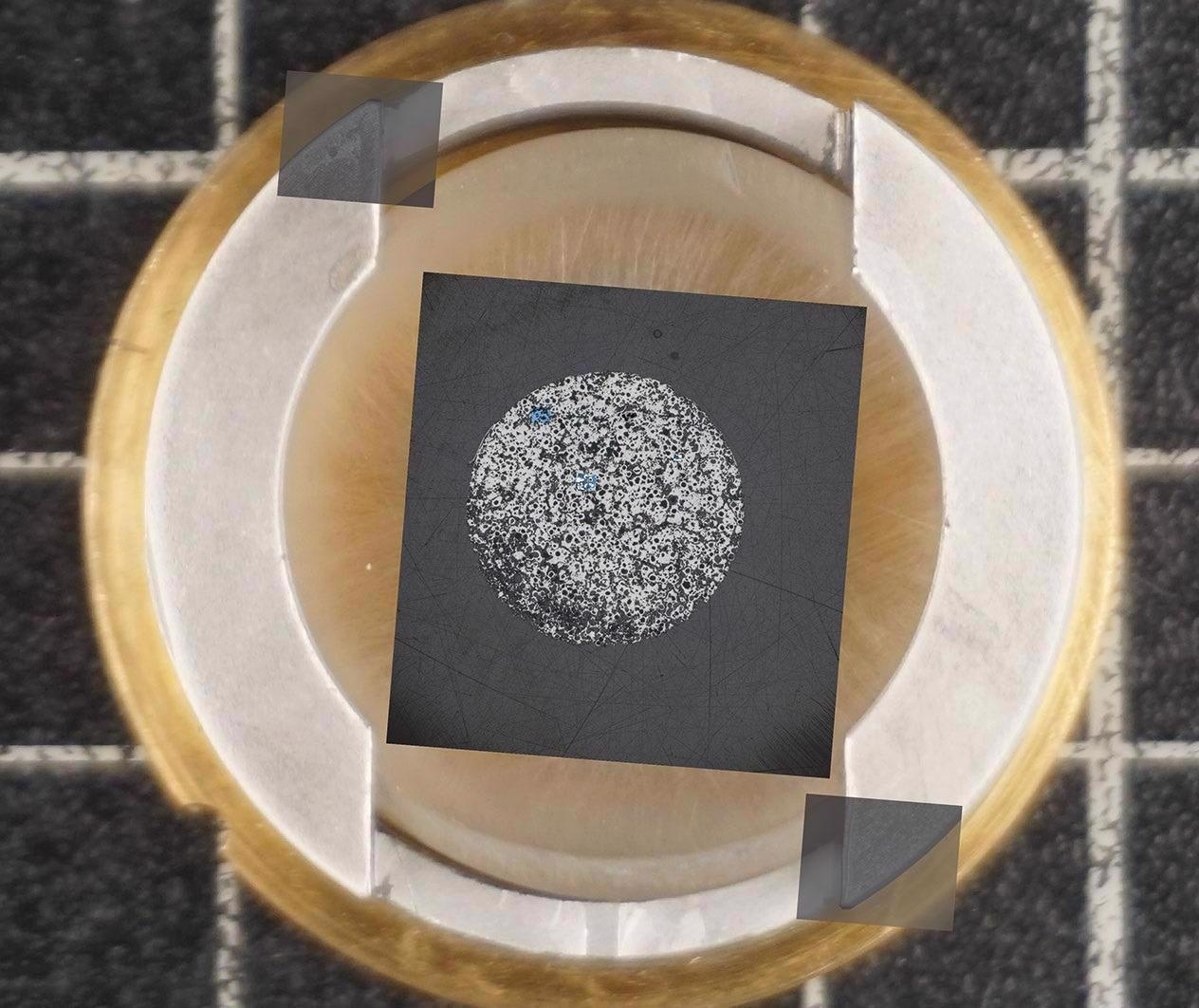 ZEISS ZEN Connect for Materials Research Labs