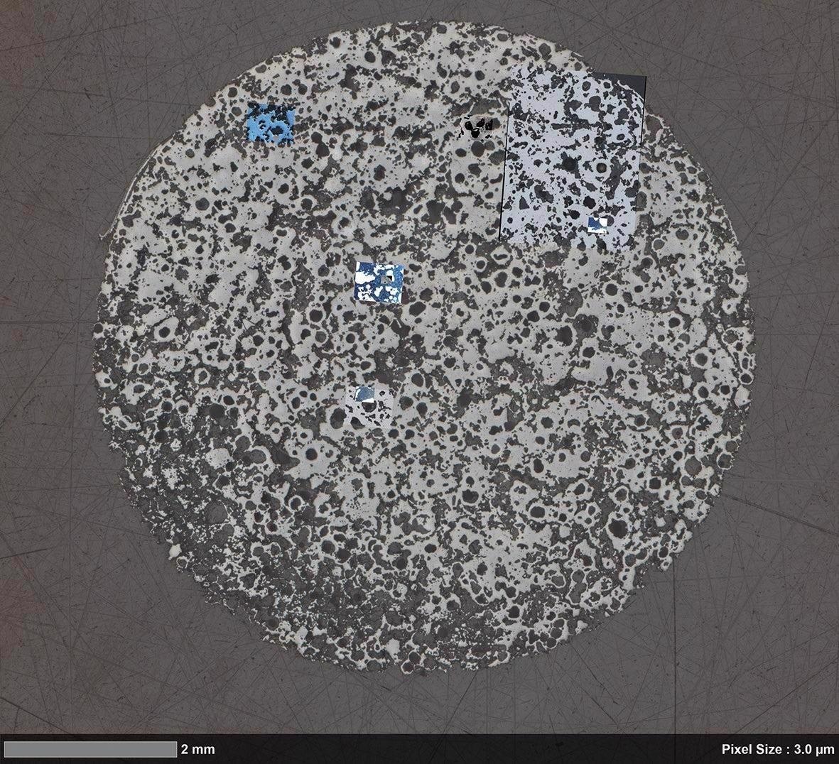 Large-scale overview, acquired with ZEISS Axio Imager.