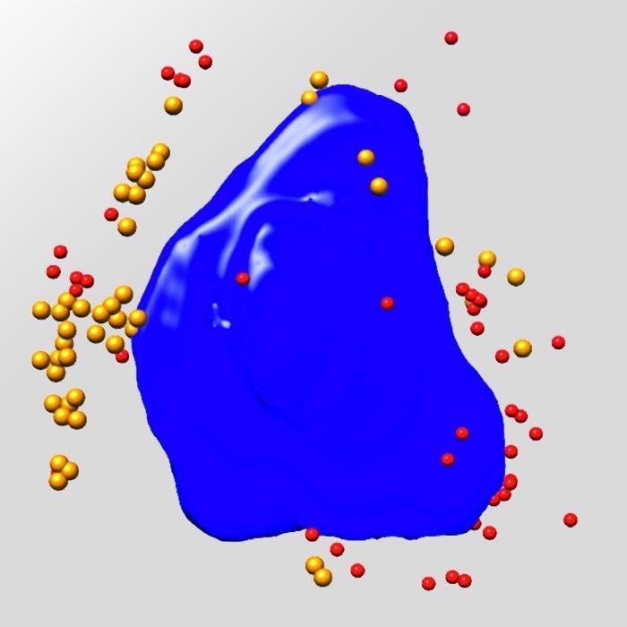Virus-infected Ptk2 Cell.
