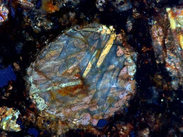 Reflected-light - Polarization, Objective: EC Epiplan-NEOFLUAR 10x/0.25 Pol