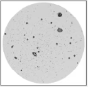 Example Filter.