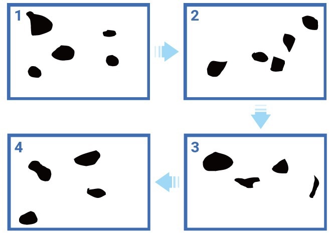 BeVision M1: Image Scanning Particle Size and Shape Analysis