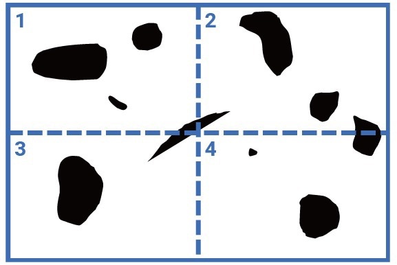 BeVision M1: Image Scanning Particle Size and Shape Analysis