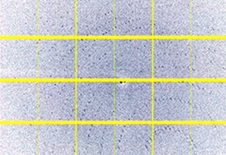 X-Ray Detectors for Synchrotrons-EIGER2