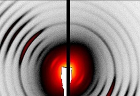 X-Ray Detectors for Synchrotrons-EIGER2