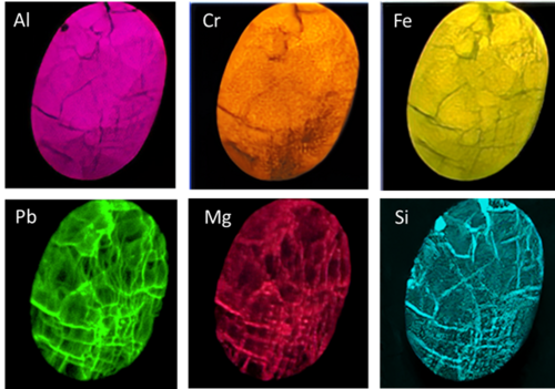 Micro-X-Ray Fluorescence Spectroscopy: XGT-9000