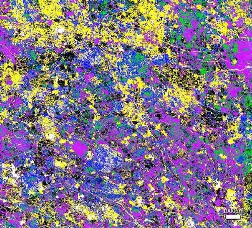 Micro-X-Ray Fluorescence Spectroscopy: XGT-9000