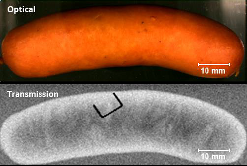 Micro-X-Ray Fluorescence Spectroscopy: XGT-9000