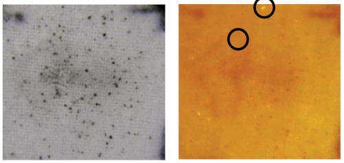 Micro-X-Ray Fluorescence Spectroscopy: XGT-9000