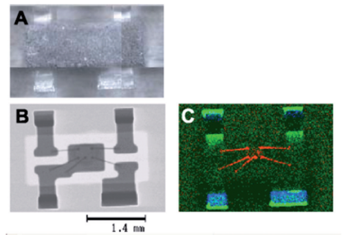Micro-X-Ray Fluorescence Spectroscopy: XGT-9000