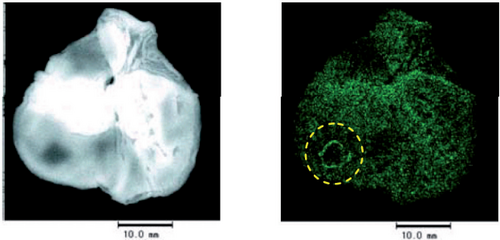 Micro-X-Ray Fluorescence Spectroscopy: XGT-9000