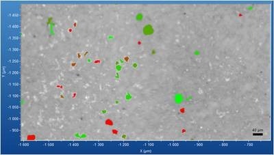 ParticleFinder: Measure, Identify, and Classify Particles