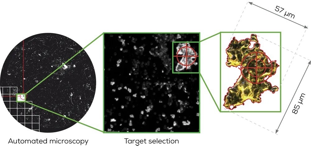Discover Hound—For Particle Characterization