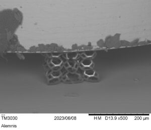 Alemnis’ Desktop SEM Solution